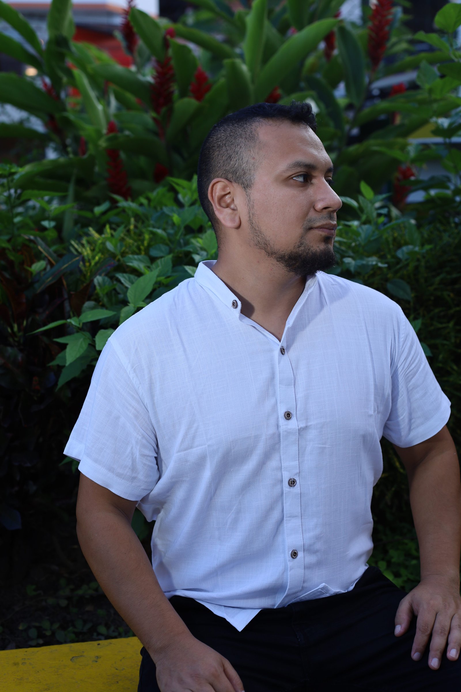 Productor del proyecto